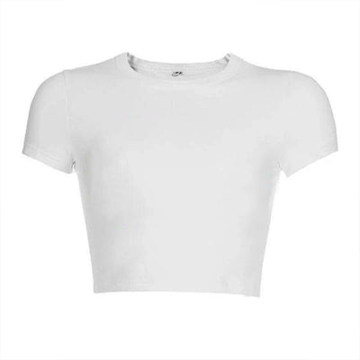 43066667663516|43066667729052